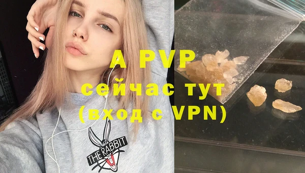 индика Тайга