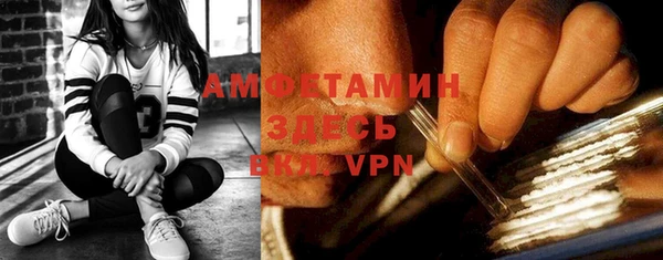 индика Тайга
