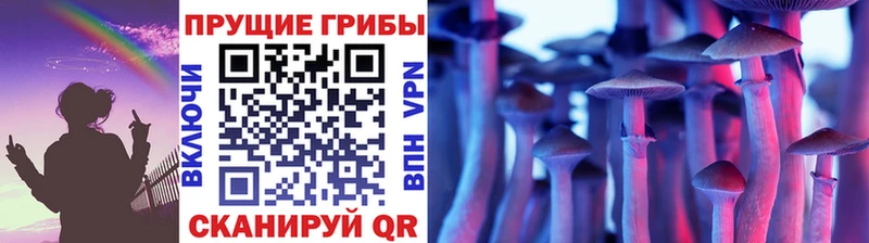 kraken зеркало  Шатура  Галлюциногенные грибы GOLDEN TEACHER  где можно купить  