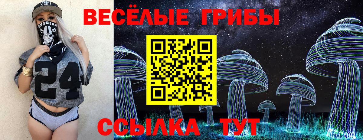 Псилоцибиновые грибы GOLDEN TEACHER Шатура