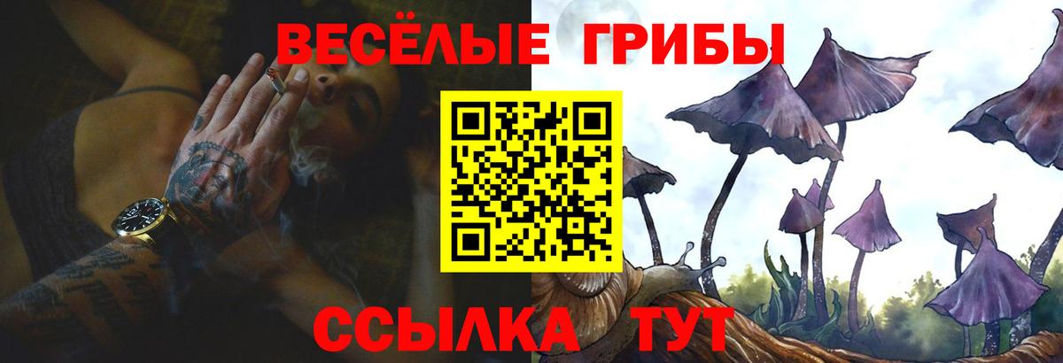 Галлюциногенные грибы Magic Shrooms  Вход с VPN  Шатура 